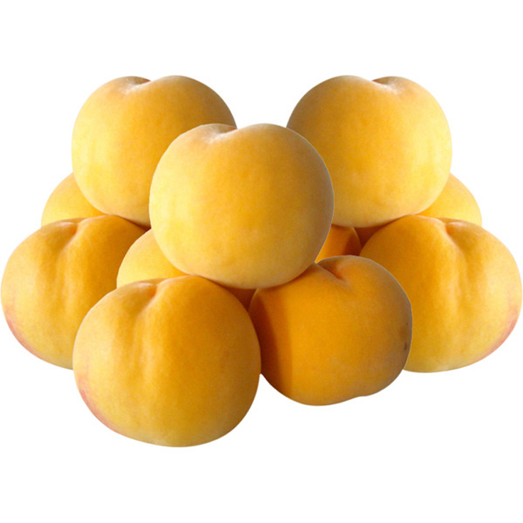 MELOCOTON AMARILLO PEQUEÑO, KG 