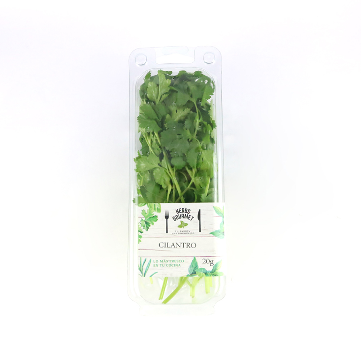 CILANTRO BLISTER , 20G HERBS GOURMET