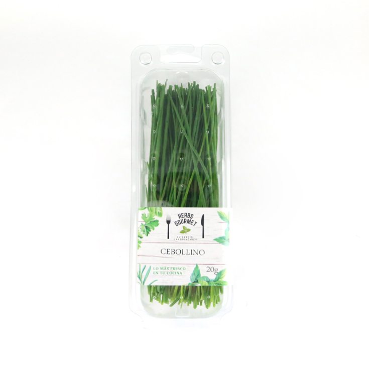 CEBOLLINO BLISTER , 20G HERBS GOURMET