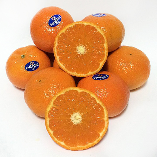 MANDARINA, KG FONTESTAD