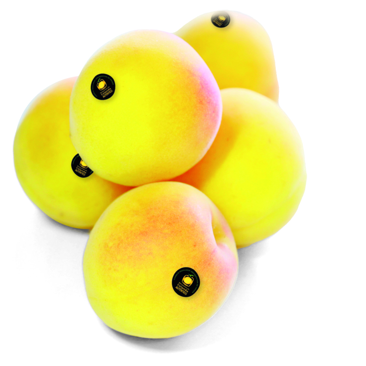 MELOCOTON CALANDA, KG (300G APRO UNIDAD) 