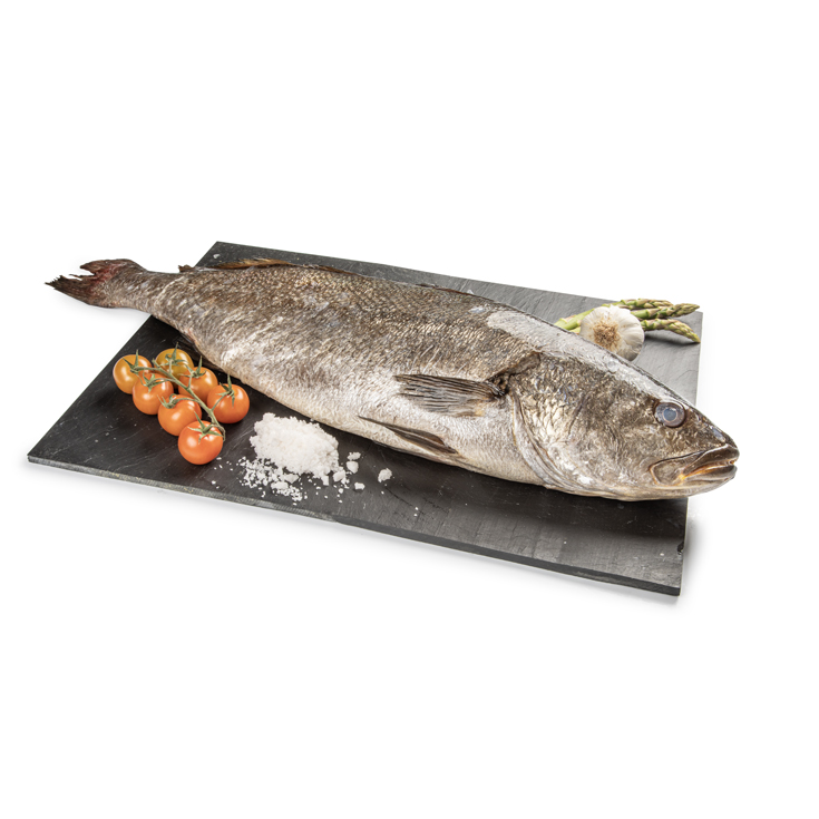 CORVINA PIEZA 1,5KG APROX, KG 