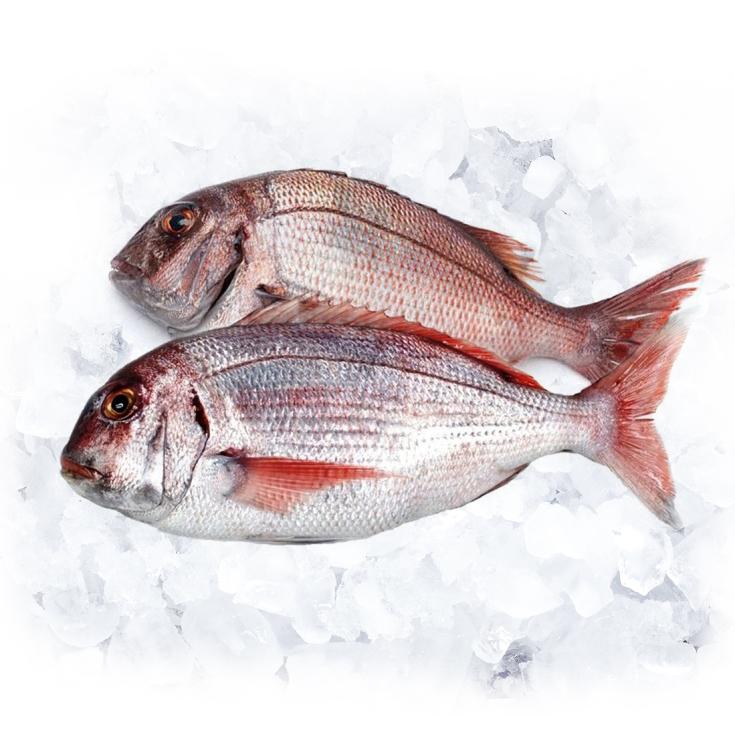 PARGO SALVAJE PIEZA 1KG APROX, KG 